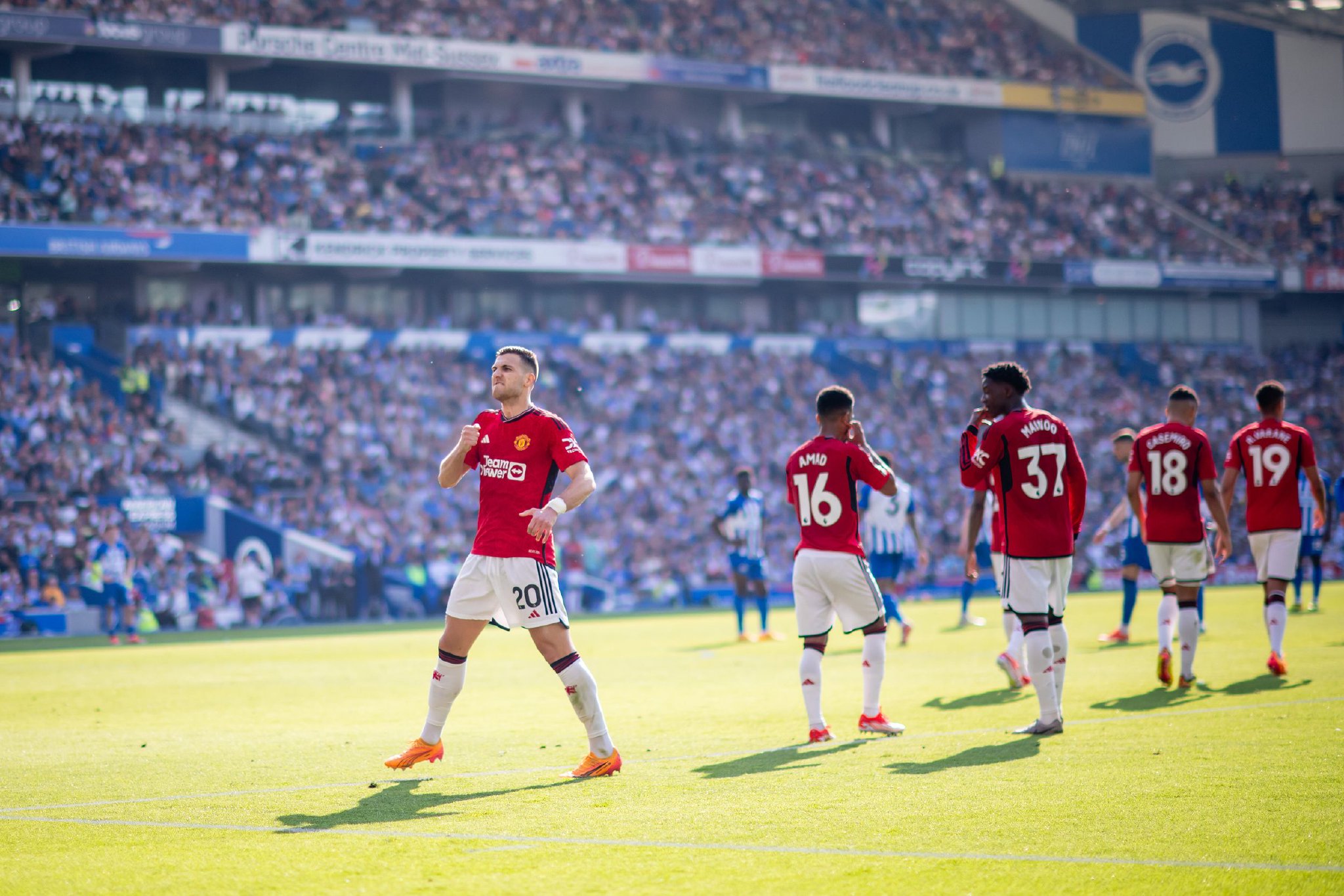 的心血及智 的心血及智